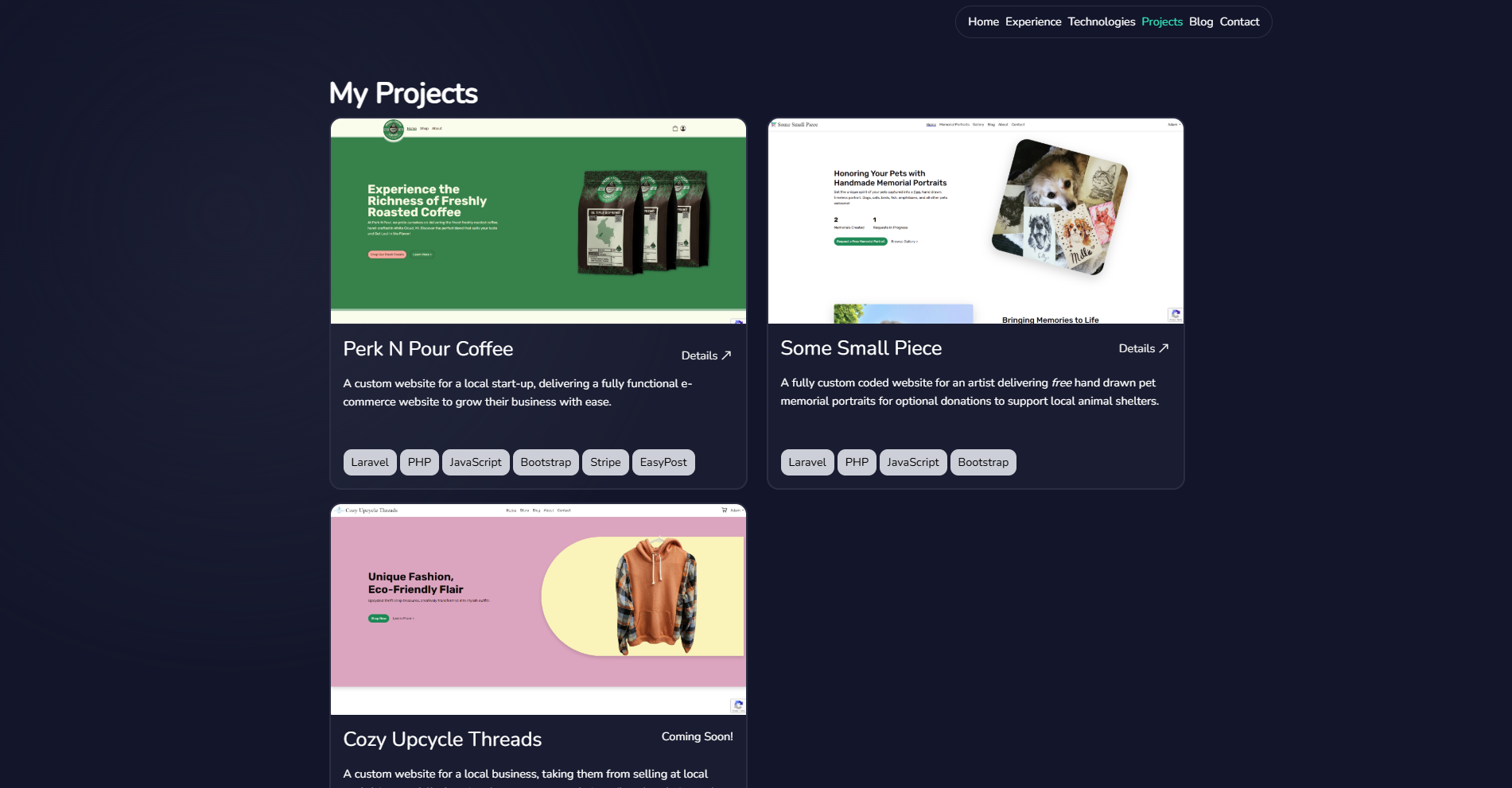 Modern developer portfolio website portfolio section